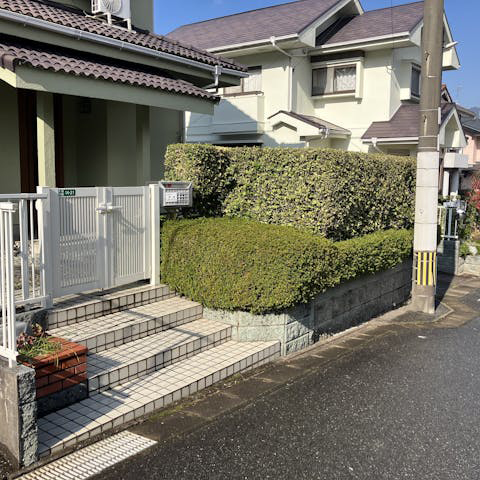 豊かな緑ですが、お手入れが大変でした。