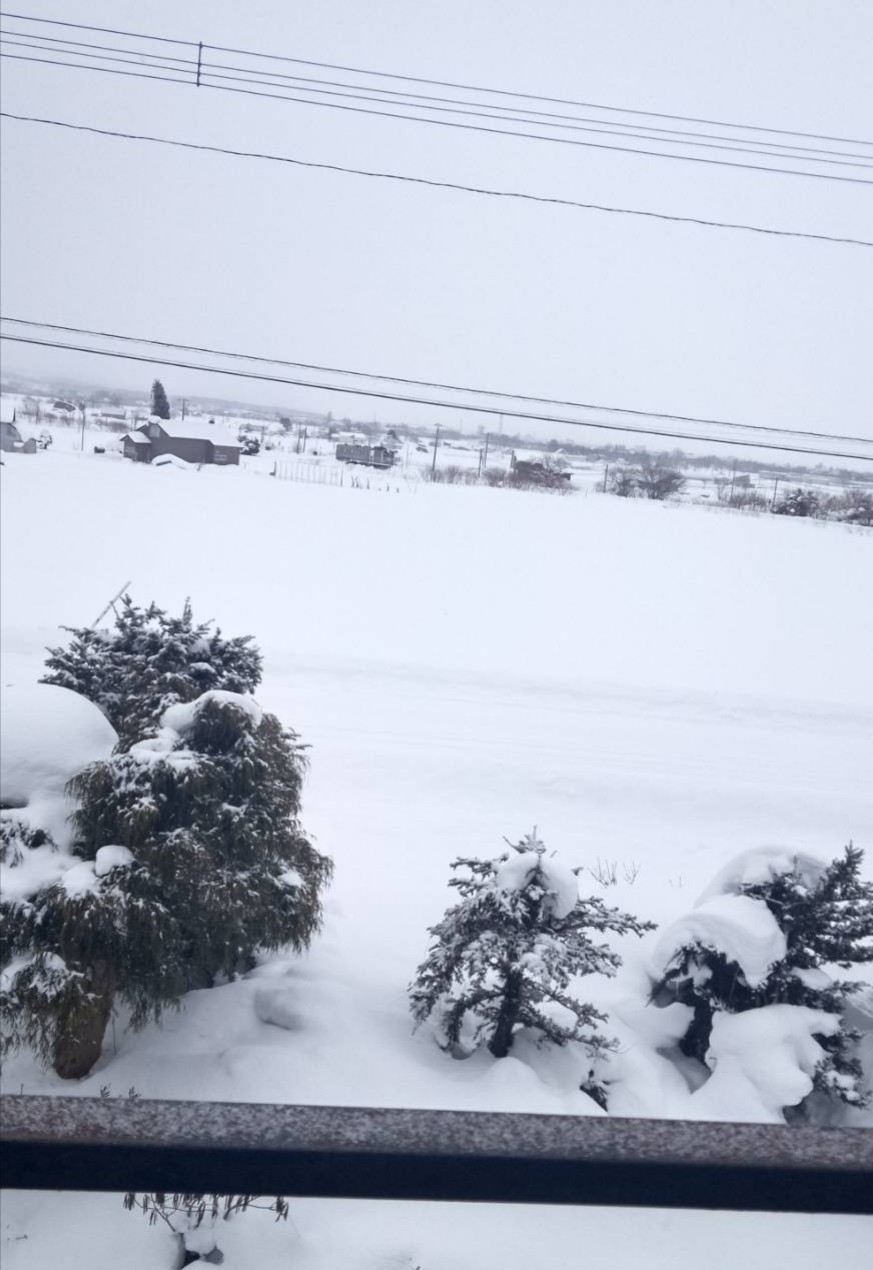 北海道の住宅の雪事情