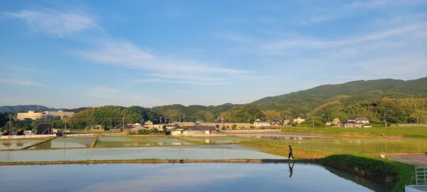 「THE日本の風景」を残すためにお米をたくさん食べよう