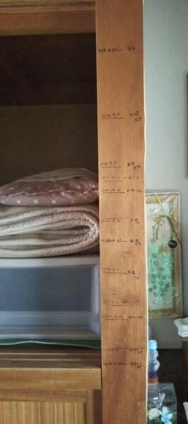 引き出し式のクリアケースやフタ付き収納ボックスを活用