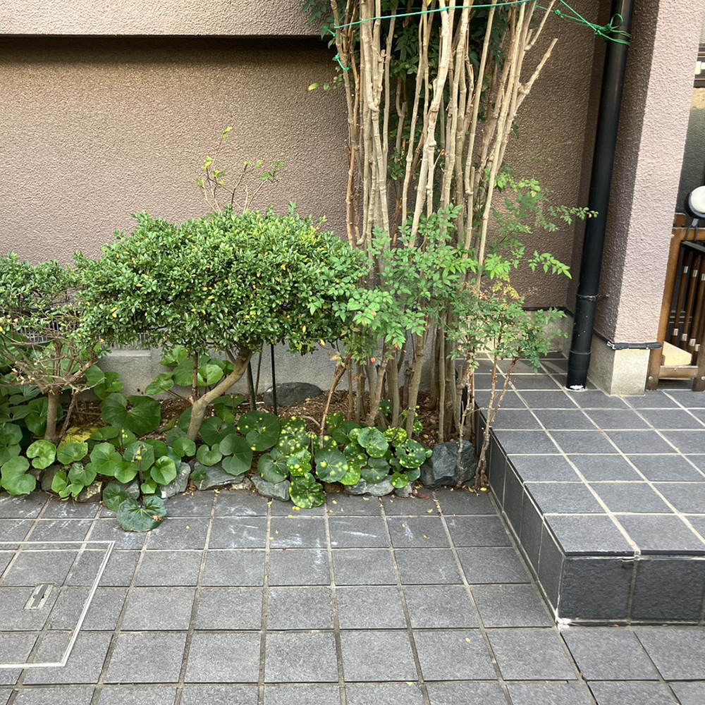 玄関を出て、すぐに段差がありました。