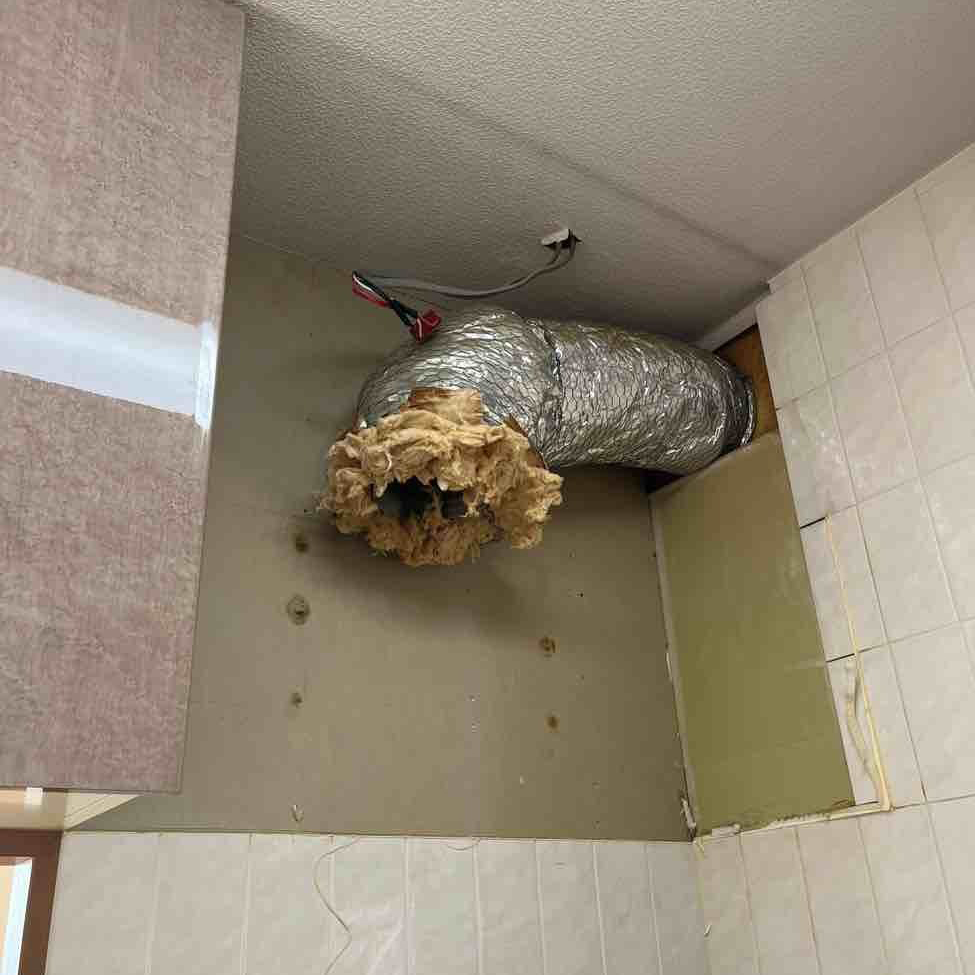 古いフードを取り外して排気ダクト（排気口）がむき出しになった状態