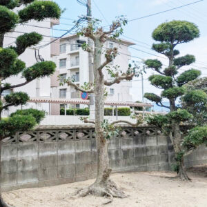 福岡市東区Ｉ様邸　庭木剪定リフォーム工事｜近隣にご迷惑かけない対策も万全