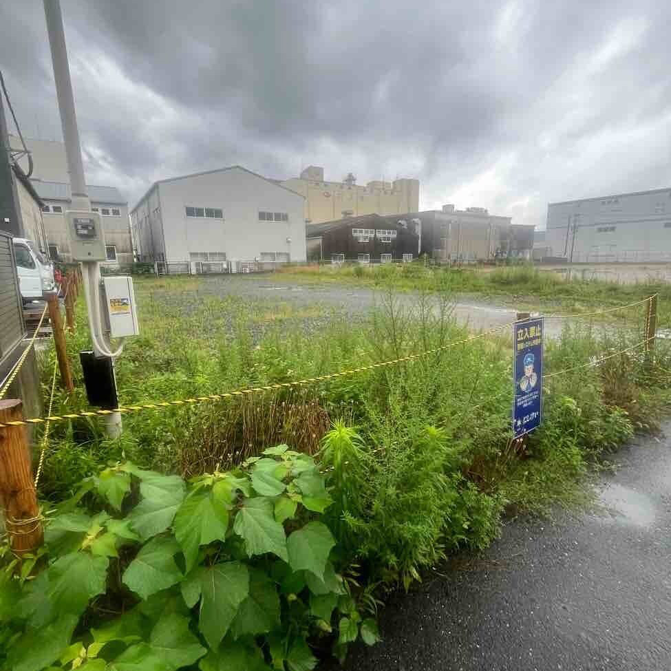 草が生い茂っている状態でした。