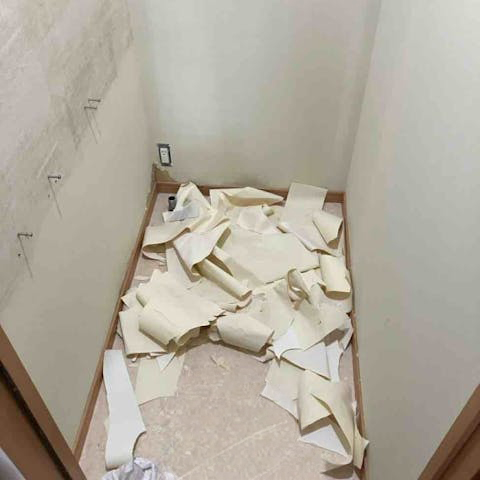 壁紙をはがしています。