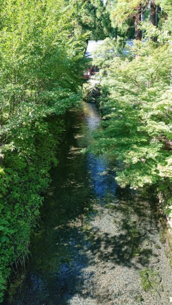 理想の夏休みは父と一緒に景色がキレイなところに行くこと