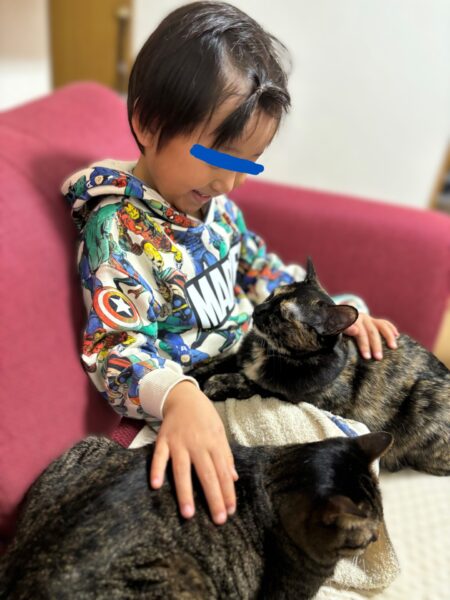 子ども・猫がいる間取りを常に妄想・想像