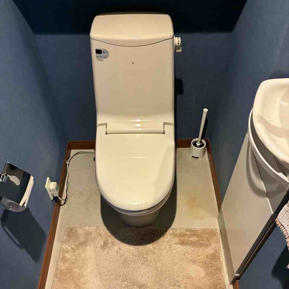 リフォーム前。暗めのトイレでした。
