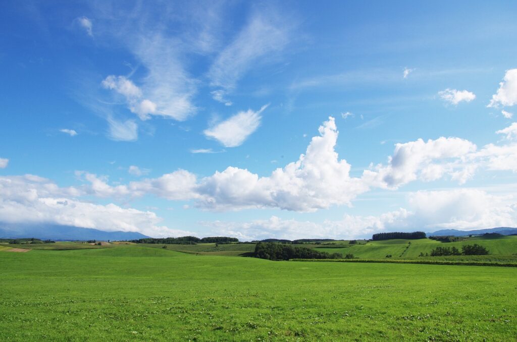 夏の北海道！！