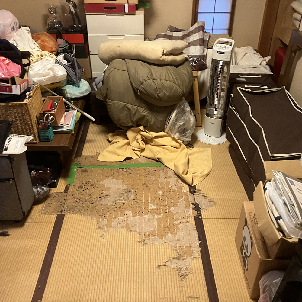 畳がとても傷んでいました。