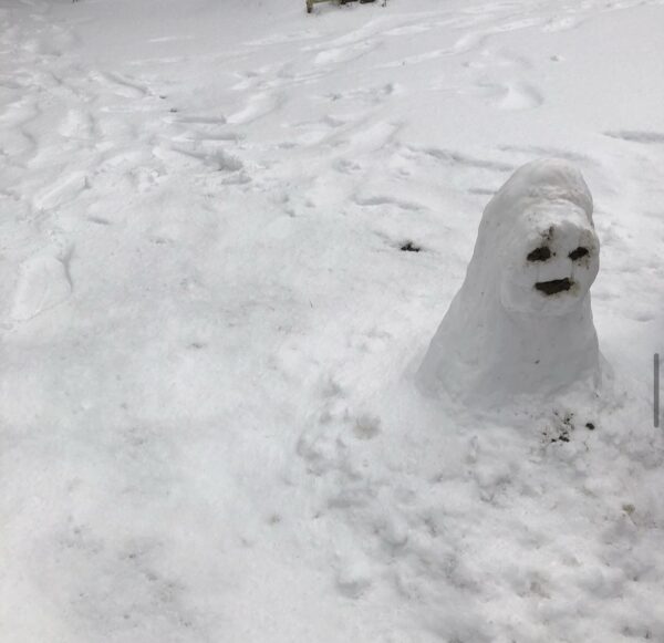 苦戦した雪だるまづくり