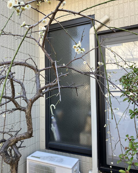 玄関の明り取りの窓が大きくて不用心と考えられました。