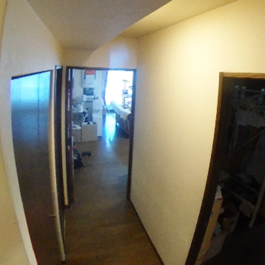 リノベーション前の玄関。濃い色の床と建具で、空間が狭く感じられていました。