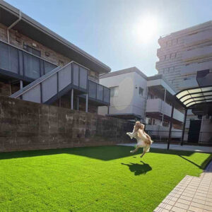 福岡市東区Ｅ様邸　エクステリアリフォーム工事｜広々と明るい庭でワンちゃんもかけまわる