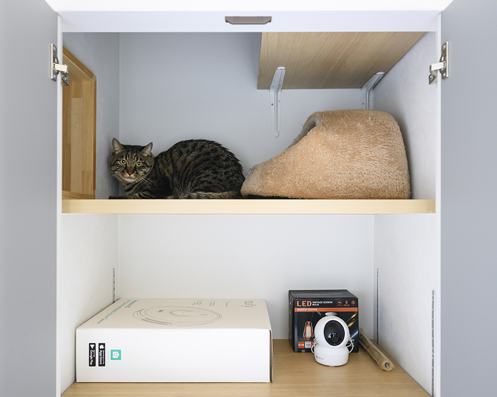 “猫ちゃん収納”でくつろぐ猫ちゃん。
狭い所を好む猫にとって安心できる場所になり、引き渡し直後に使ってくれたそう。
上段は猫部屋、中段は猫グッズ収納、下段は猫用トイレルームとしてプランニングしました。