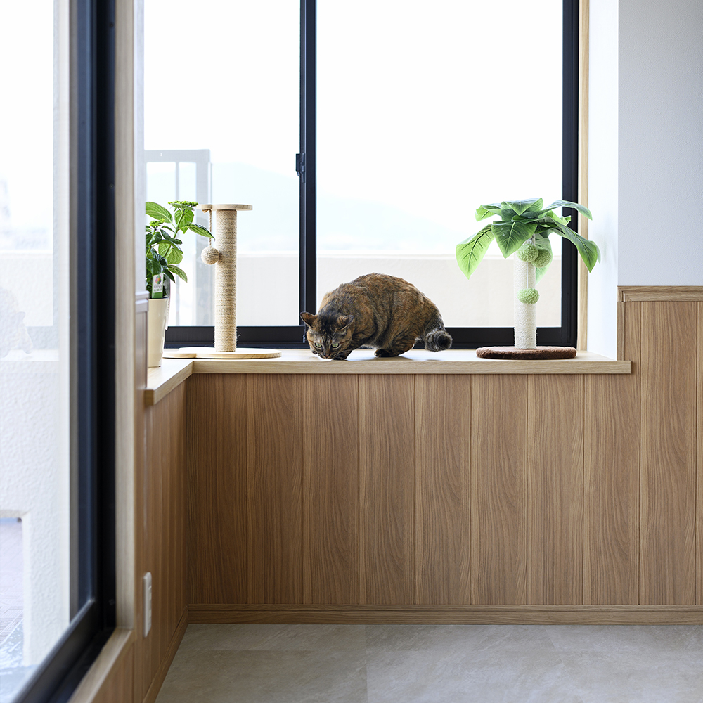猫ちゃんを飼っているお宅のお悩みは爪とぎによるクロスの剥がれ。
Y様邸ではペットの爪による引っ掻き傷が付きにくい腰壁を採用しました。