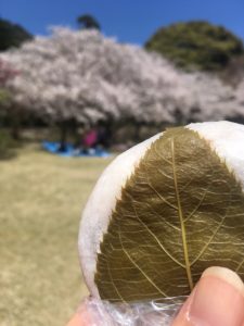 松ヶ枝餅と宮地嶽神社でお花見♪