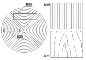 杉と桧はとても身近な木材です。