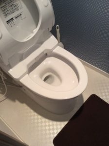 私はトイレの交換をお勧め致します。