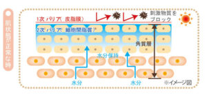 外壁チェック